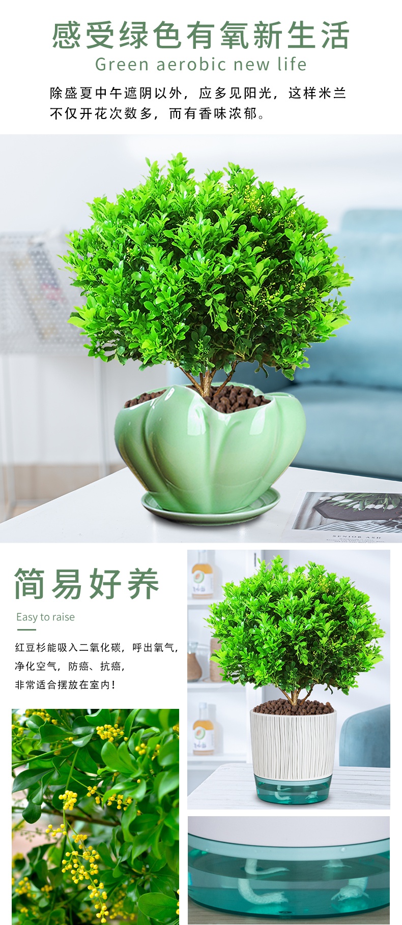 802bdaea47840adb.jpg