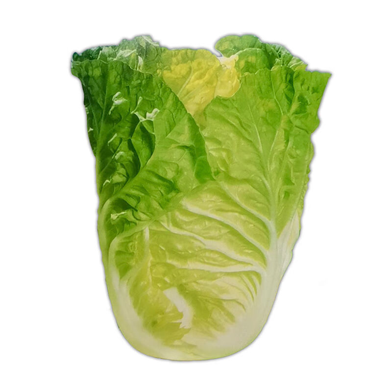 花果山原厂包装菊花心大白菜种子黄心娃娃菜耐热早熟高产秋冬季蔬菜