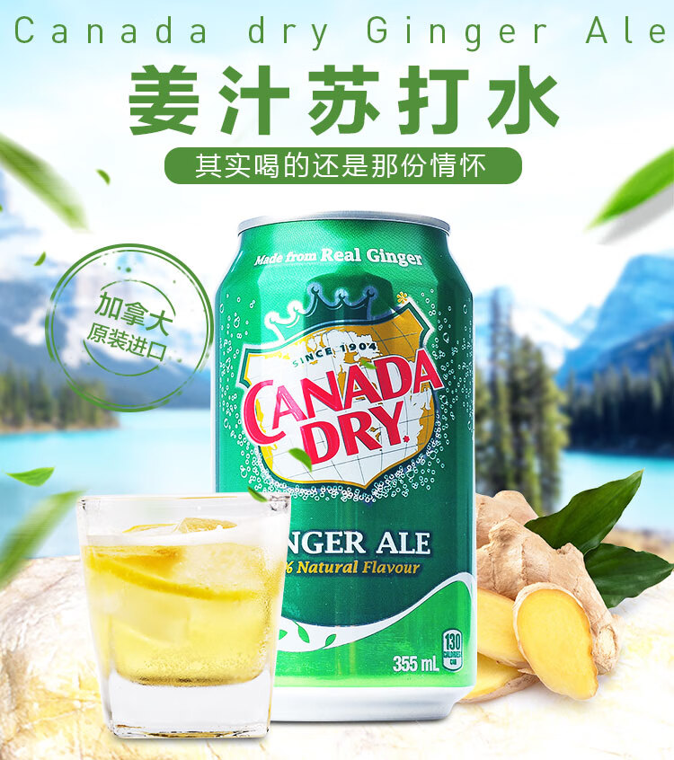 加拿大canadadrygingerale姜汁汽水干姜水生姜水8罐饮料32罐姜汁汽水