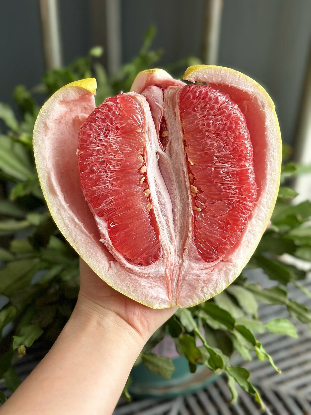 媚调优甜红文旦柚4个9-10斤装 红心柚子低糖孕妇儿童新鲜水果重庆双福