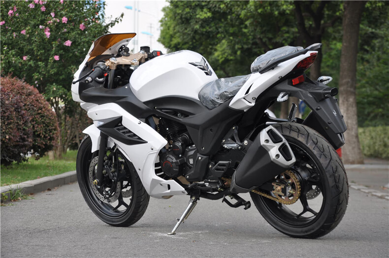 全新国产摩托车大跑车地平线250cc rs赛车重型机车街车 国四电喷宗申