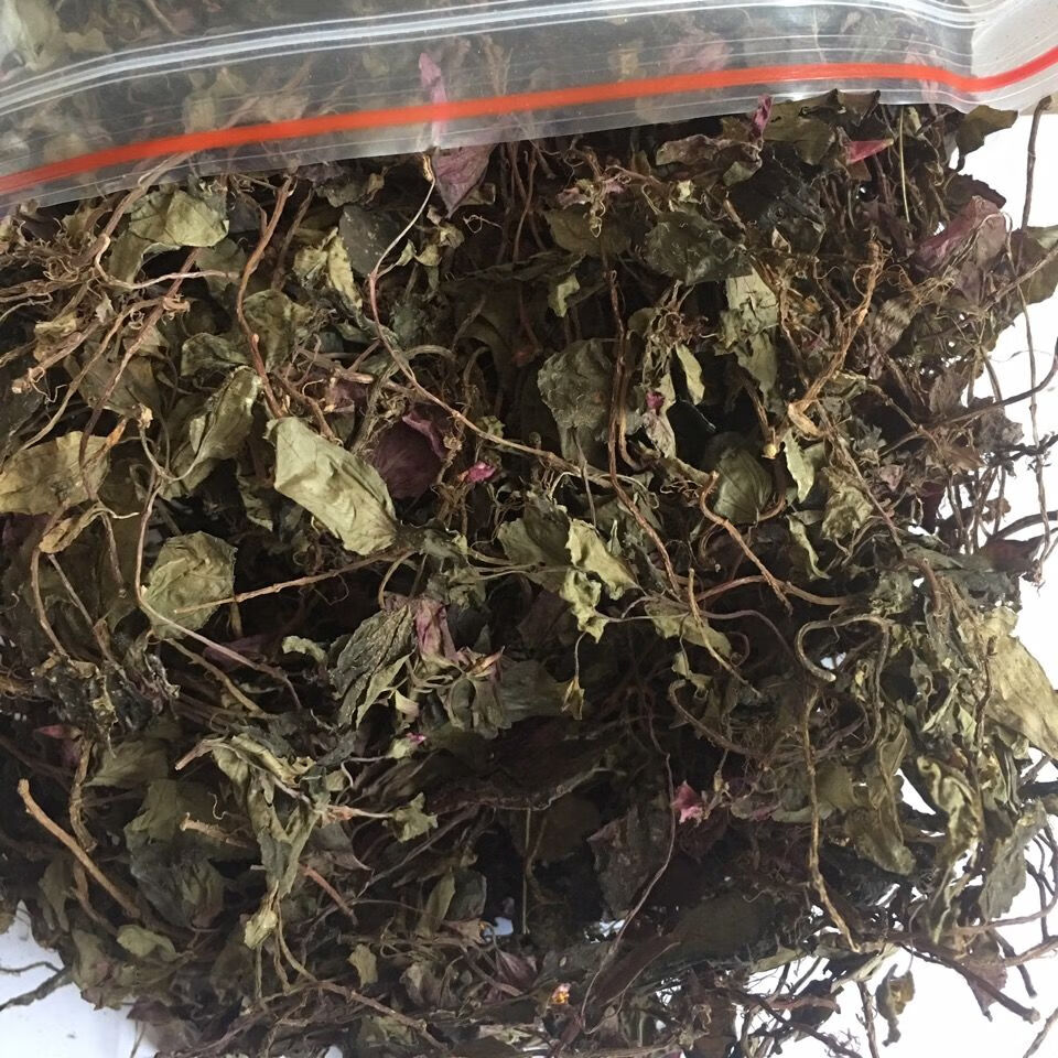 福建野生风柜斗草 50/250g野生风柜斗草 福建直发新晒干品正宗风鼓草