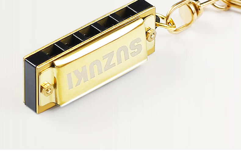 口琴5孔10音初学者儿童迷你小口琴学生入门乐器男士【图片 价格 品牌