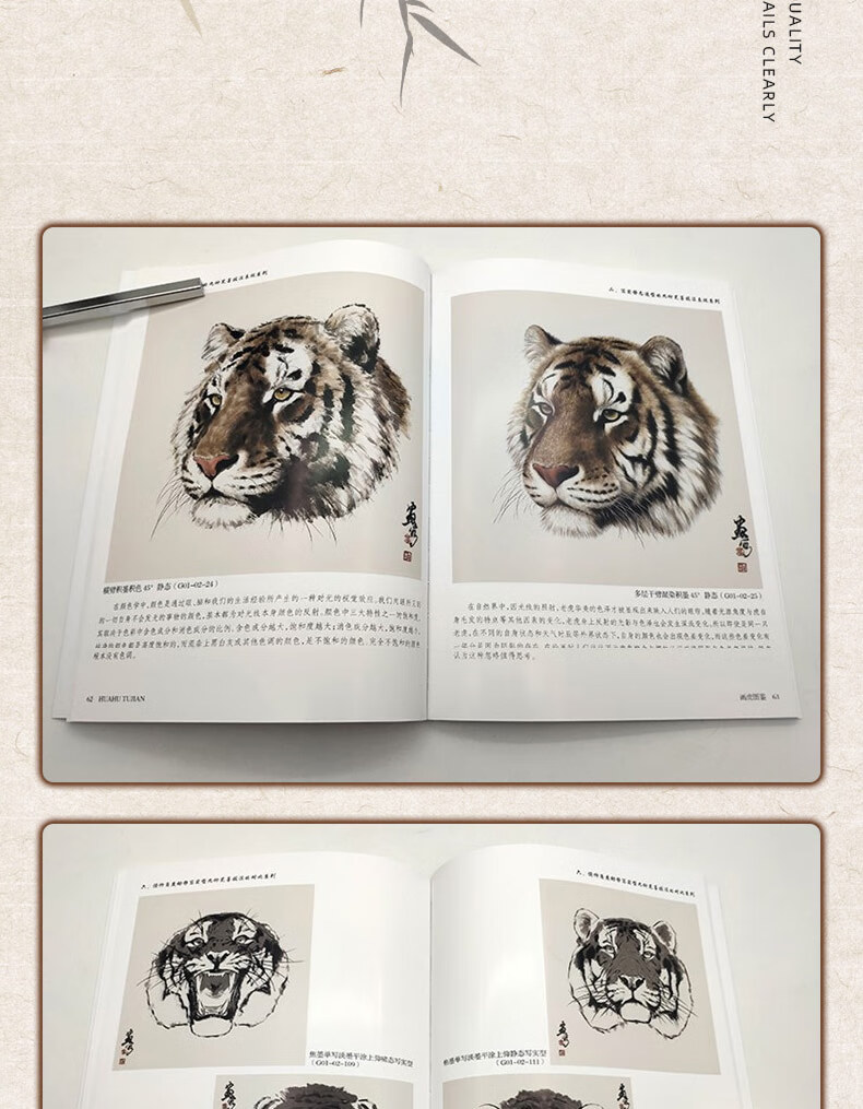 【旗舰正版】画虎图鉴 黄广明 著 国画临摹鉴赏 畜兽画绘画临摹 工笔