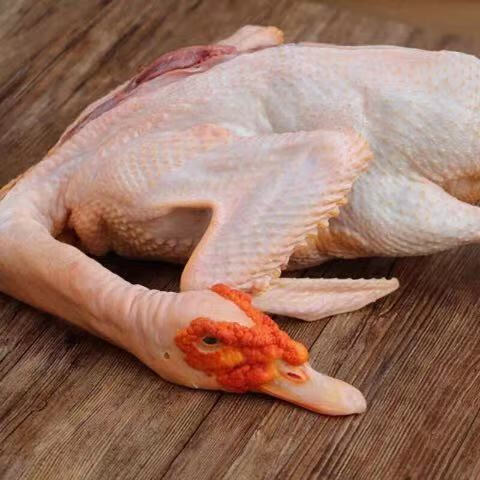 限时限量黑白番鸭新鲜肥美自家散养快递杀好净重45斤左右