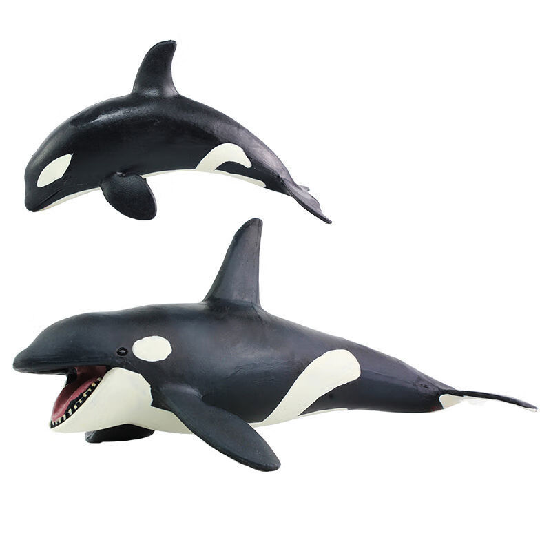 适用于仿真海洋生物虎鲸模型鲸鱼动物玩具实心塑胶儿童男孩科教认知