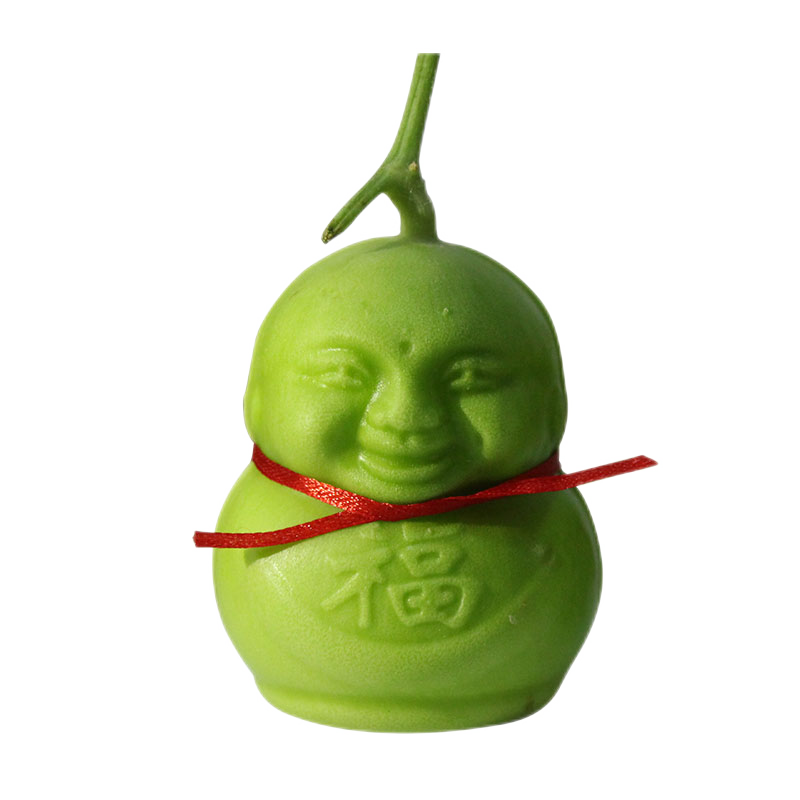 钦辰奕【速发】人参果水果人形福娃甜瓜制作娃娃贡果礼品非云南礼品果