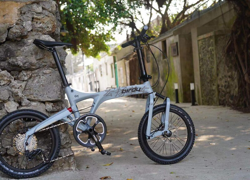 birdy折叠车德国鸟车代理 birdy gt 越野款10速碟刹折叠自行车 satin