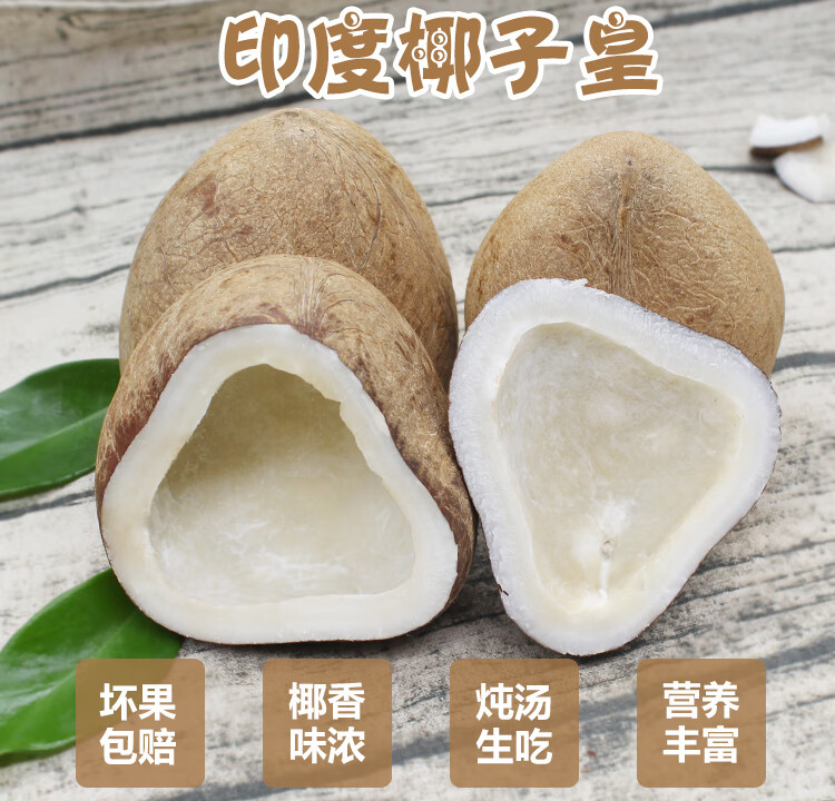 印度椰子新鲜印度椰子皇海底椰干吃海椰皇煲汤椰皇500克印度椰皇 3个