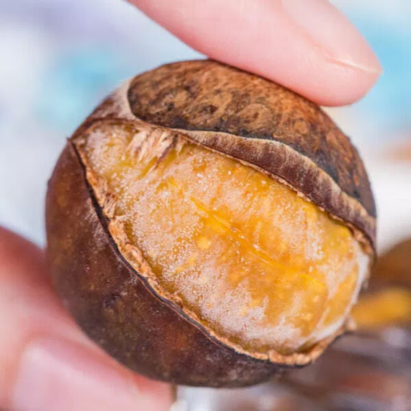 冰冻板栗粒上皇冰魔栗迁西皇栗皇举个熟栗子新鲜糖炒蒸烤即食【粒上皇