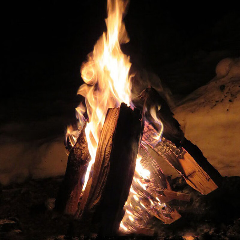 松木荔枝木柴火干木柴装饰道具木柴篝火晚会木柴烧烤户外露营专用 100