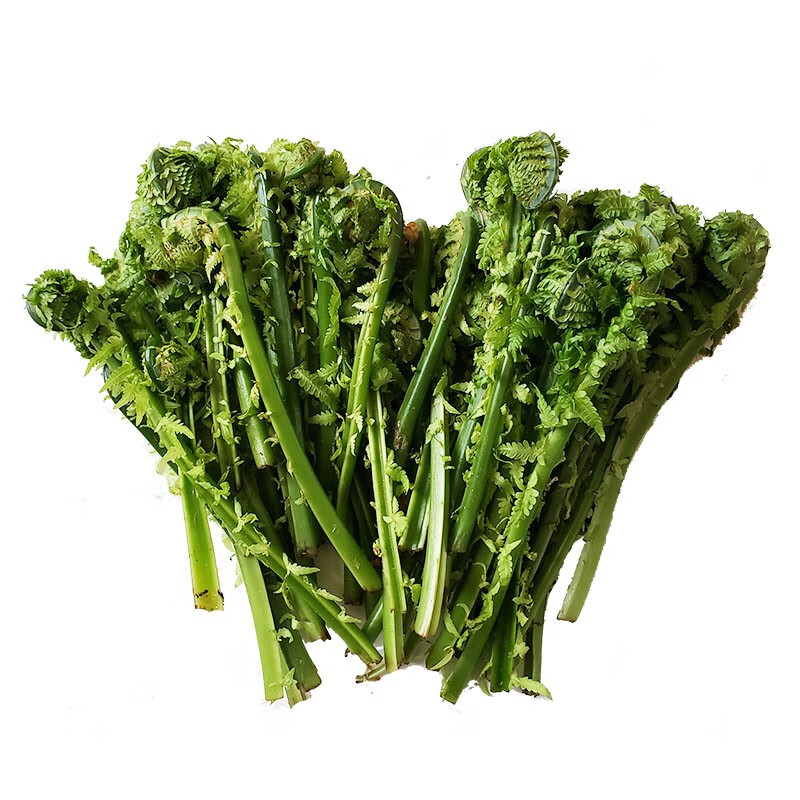 源外园东北长白山野菜广东菜黄瓜香新鲜冷冻蕨菜勾勾菜2斤 限区快递