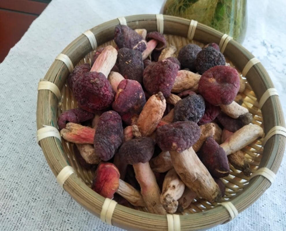 5折 新武夷山野生小红菇福建特产红椎菌干货红蘑菇小菇蕾 500g【图片