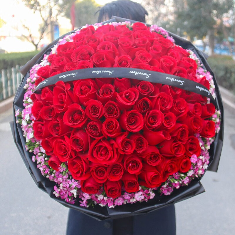 馨仪鲜花速递99朵玫瑰花束表白求婚送女朋友老婆生日纪念日礼物全国