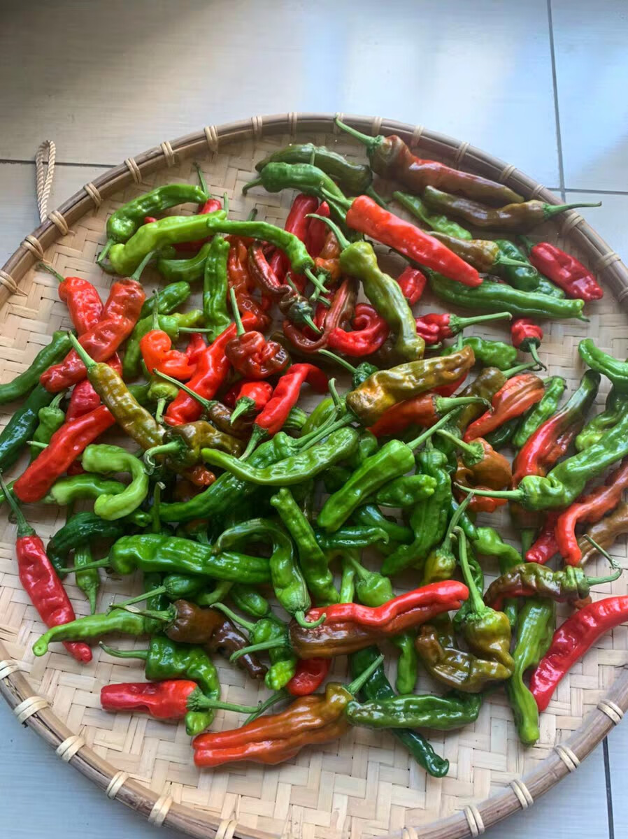 山东枣庄薄皮皱皮辣椒新鲜特辣螺丝辣椒炒辣子鸡炒肉辣椒现货 5斤