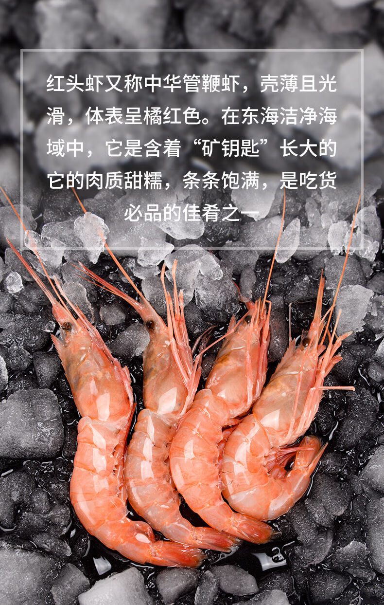 红虾超大特大红头虾新鲜活海捕大虾海虾廷红虾 江浙沪地区专拍 大红虾