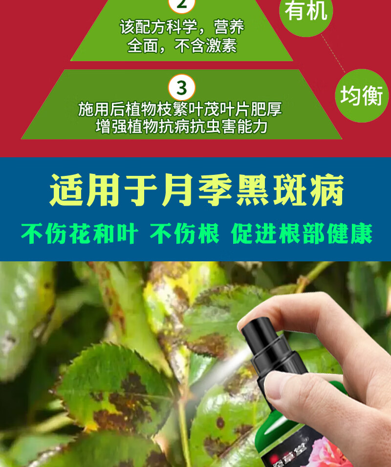 适用于月季花黑斑病专用药蔷薇兰花玫瑰叶黄白粉病植物蚜虫杀菌剂常用