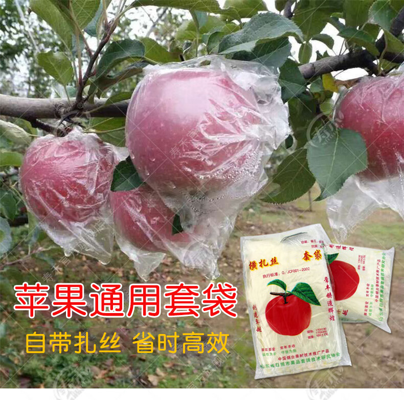 一朗月娥苹果套袋塑料水果防水防雨防鸟防虫专用袋套果袋农用果树袋带