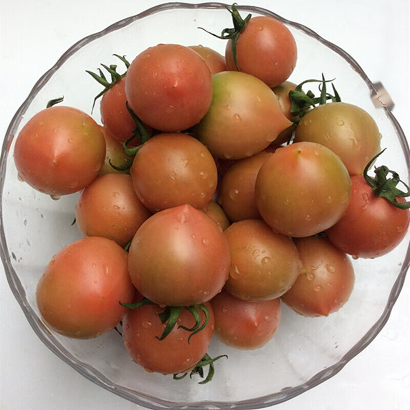 红绿相间的西红柿图片