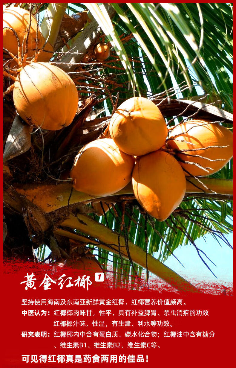 黄金红椰280ml10罐海南特产椰子汁椰奶饮料整箱装礼盒椰汁黄金红椰280