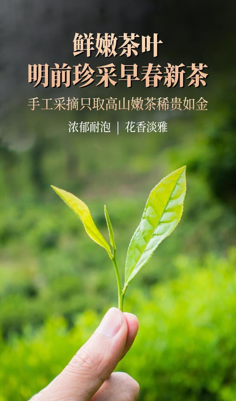 八窨龙毫新货年新茶浓香型老北京大白毫龙豪茉莉花茶叶散装袋装八窨龙