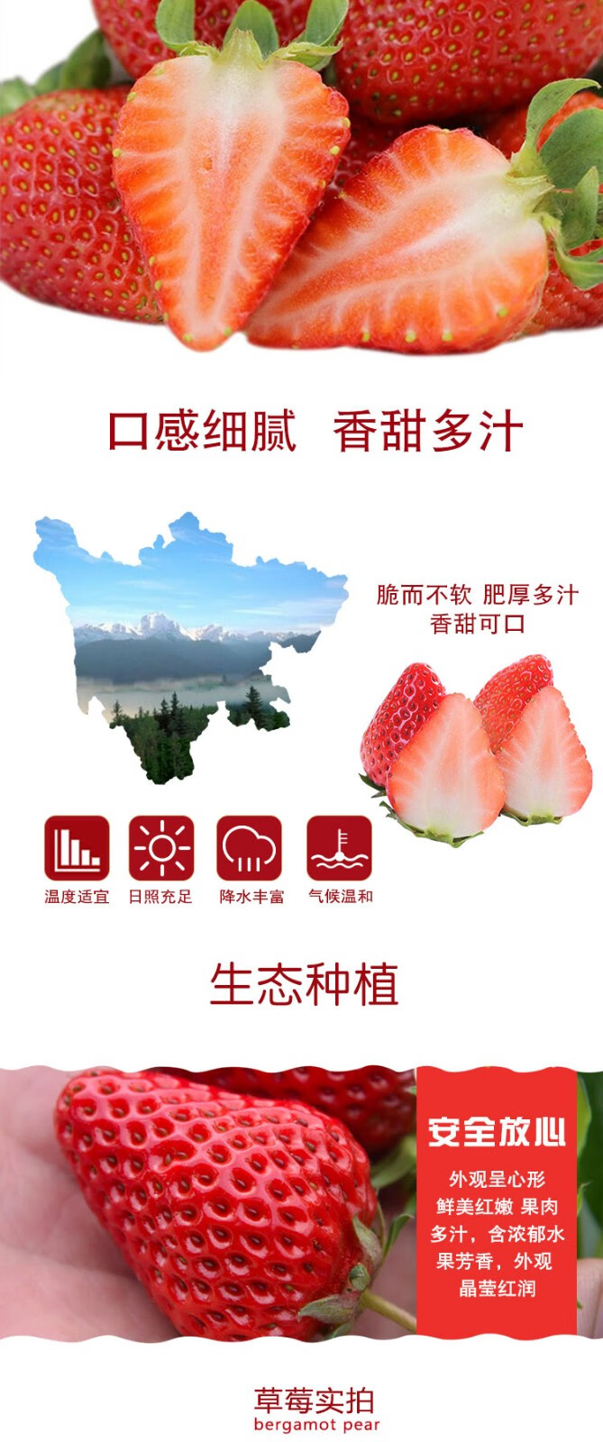105852-【凉山特产馆】大凉山牛奶草莓新鲜水果现摘现发 空运直达 VS丹东草莓红颜 4盒中大果-详情图