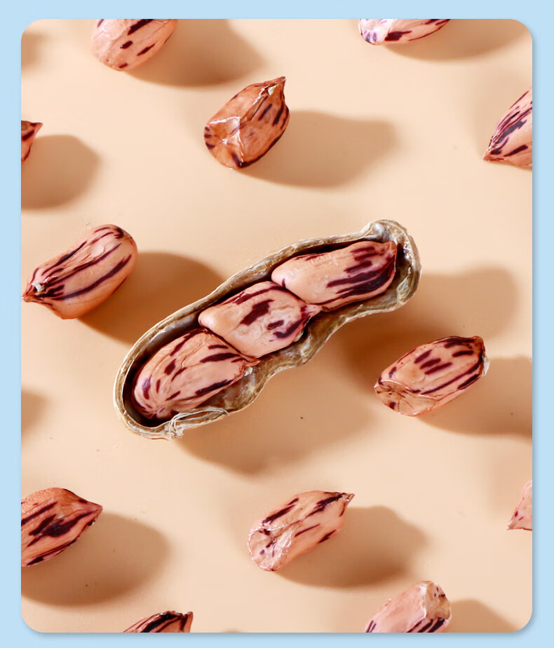 新货七彩花生云南特产带壳生熟七彩野地花生新鲜晒干彩色花生年货坚果