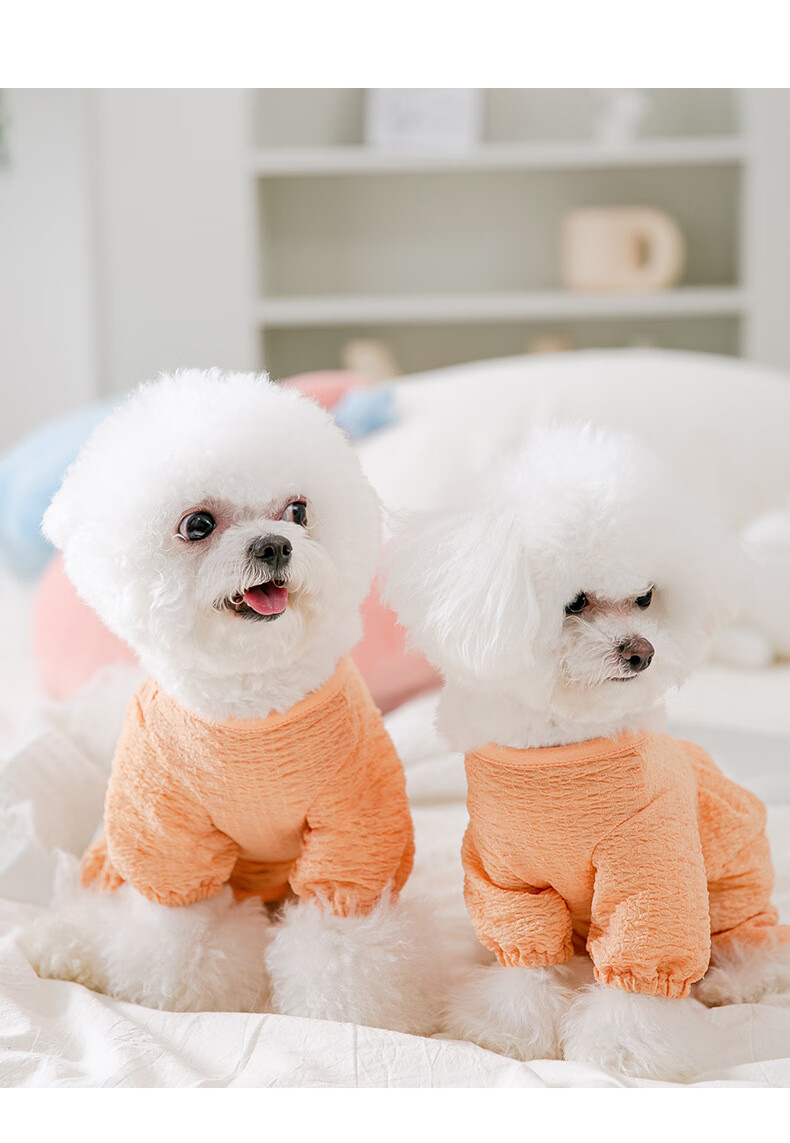 茶杯犬衣服 春夏季四脚包肚狗狗猫咪防掉毛空调服宠物泰迪比熊茶杯