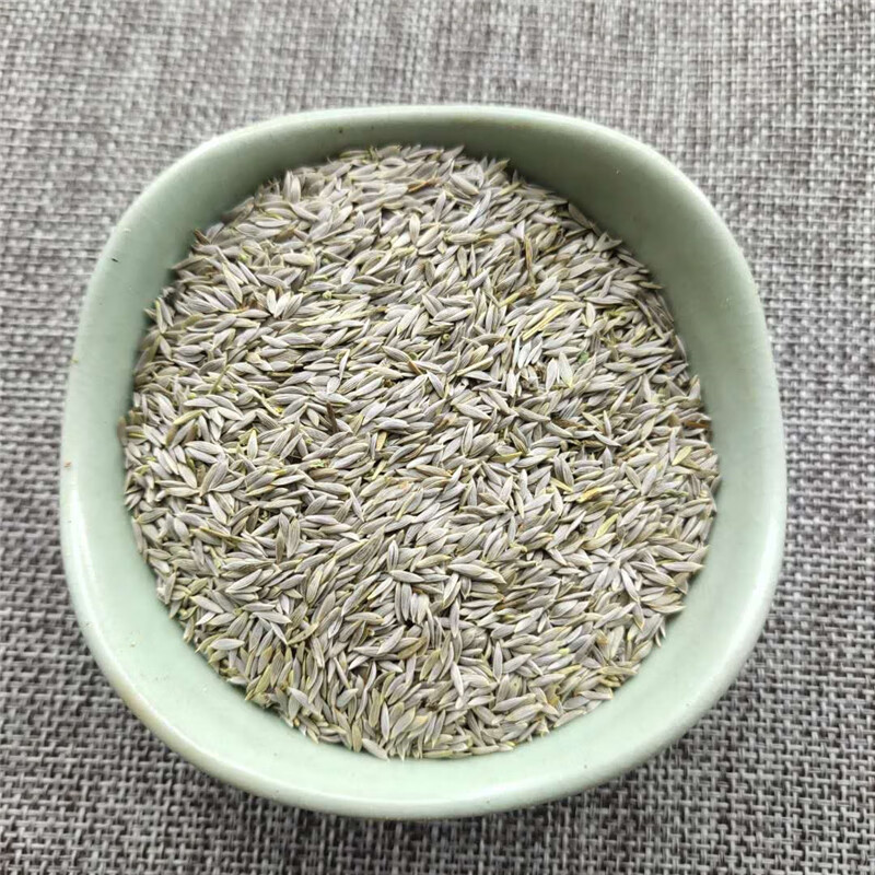 生菜籽中药材500g生菜子莴苣子白巨胜子搭配黄瓜籽