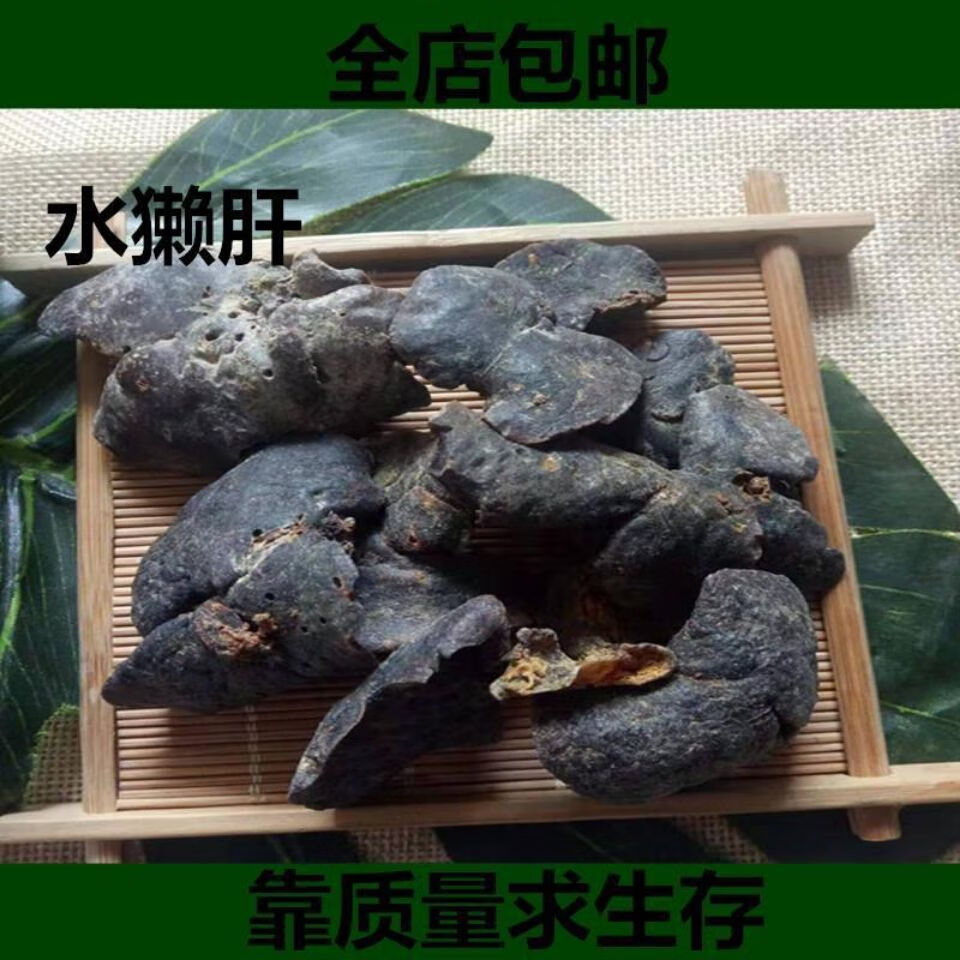 有仁堂材水獭肝獭肝100克可磨水獭肝粉250克