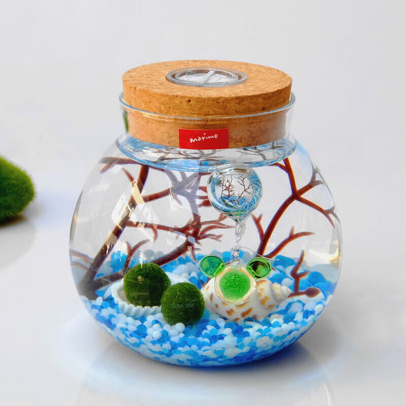 marimo马里莫海藻球微景观生态瓶球藻盆栽室内水培植物营养液 经典版