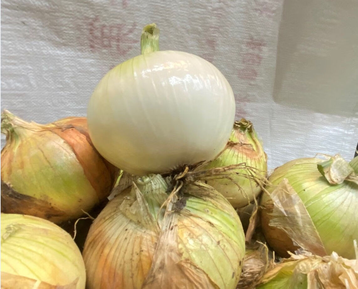 黄皮葱头的做法 紫皮葱头和黄皮葱头