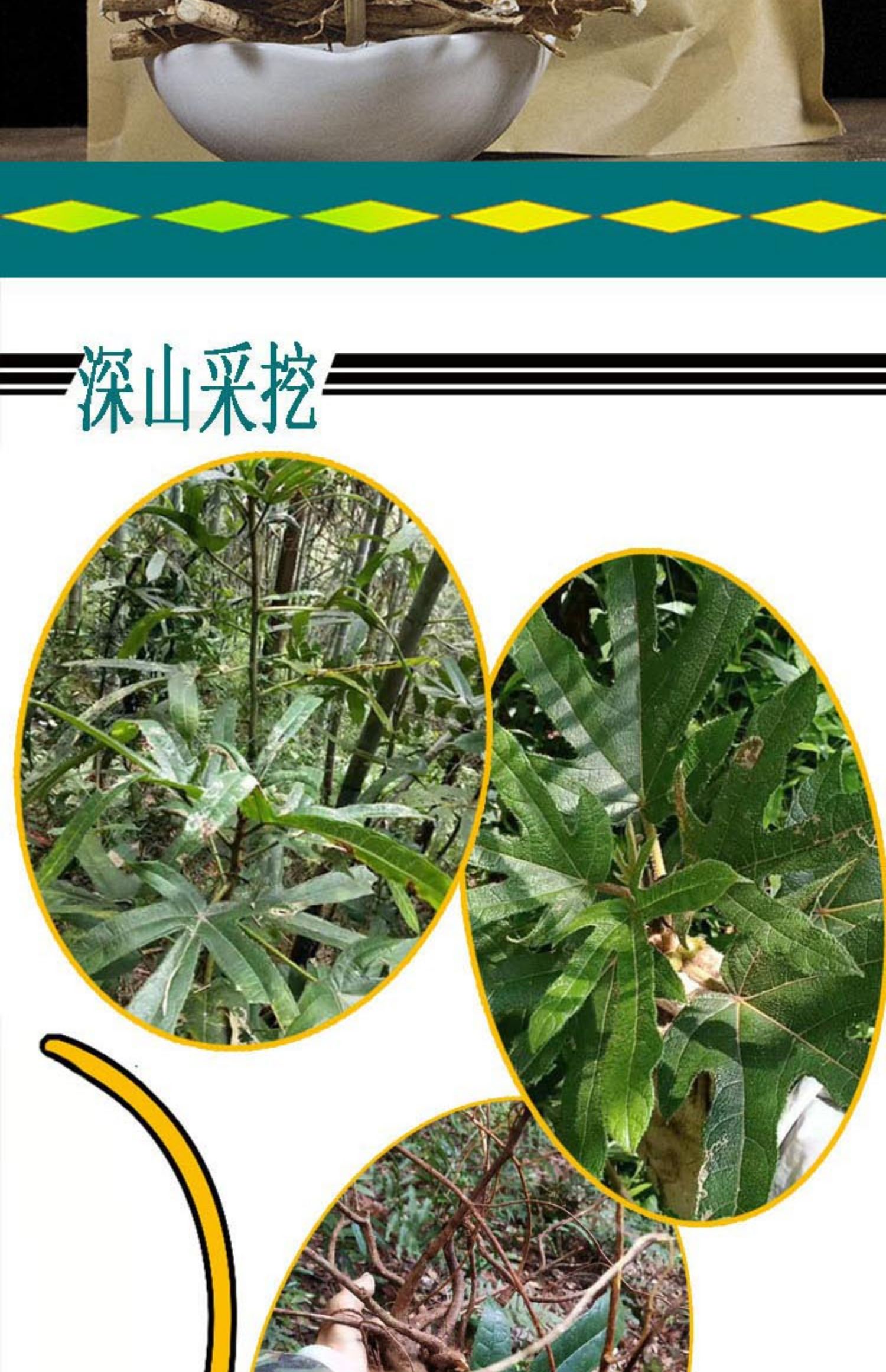 广东野生五指毛桃根五爪龙泡酒煲汤料无硫特级中药材500克 五指毛桃切