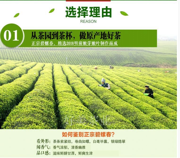 新茶碧螺春茶葉明前正宗洞庭湖碧螺春花果香春茶濃香型250克鐵盒250克