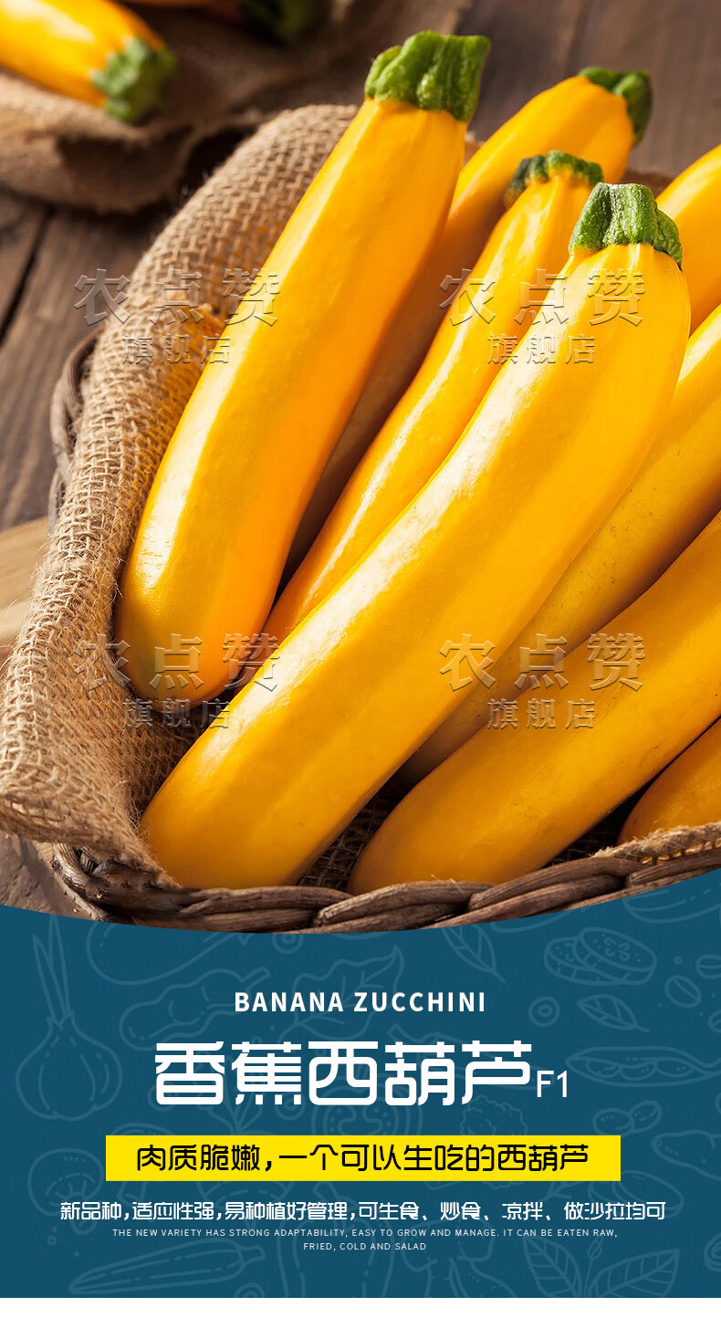 农点赞 水果香蕉西葫芦种子葫芦籽金皮西葫芦种子特大生瓜种籽笋瓜