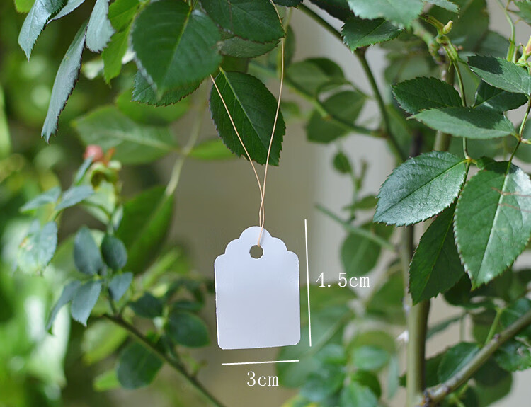 园艺盆栽绿植果树植物记号标签挂绳标签pvc防水花卉吊牌标签 笔 混色