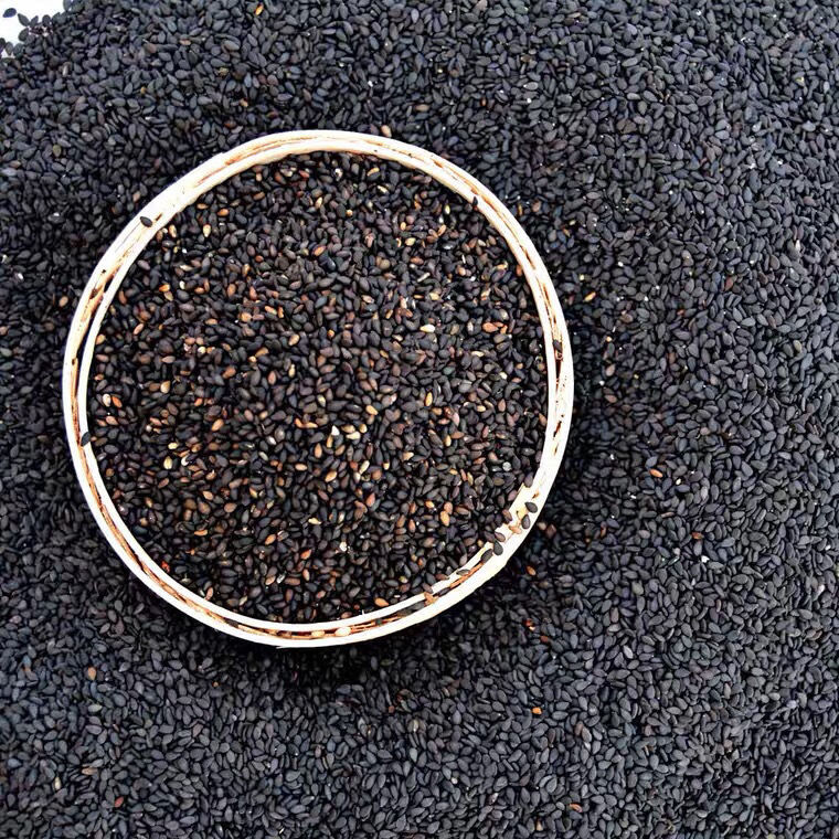 生黑芝麻新鲜河南驻马店农家自产自种生的吃的散装新货芝麻粒熟黑芝麻