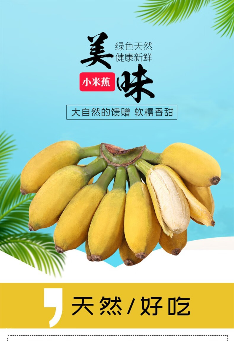 54322-黔食荟 北纬22°新鲜国产香蕉小米蕉 10斤整箱装-详情图