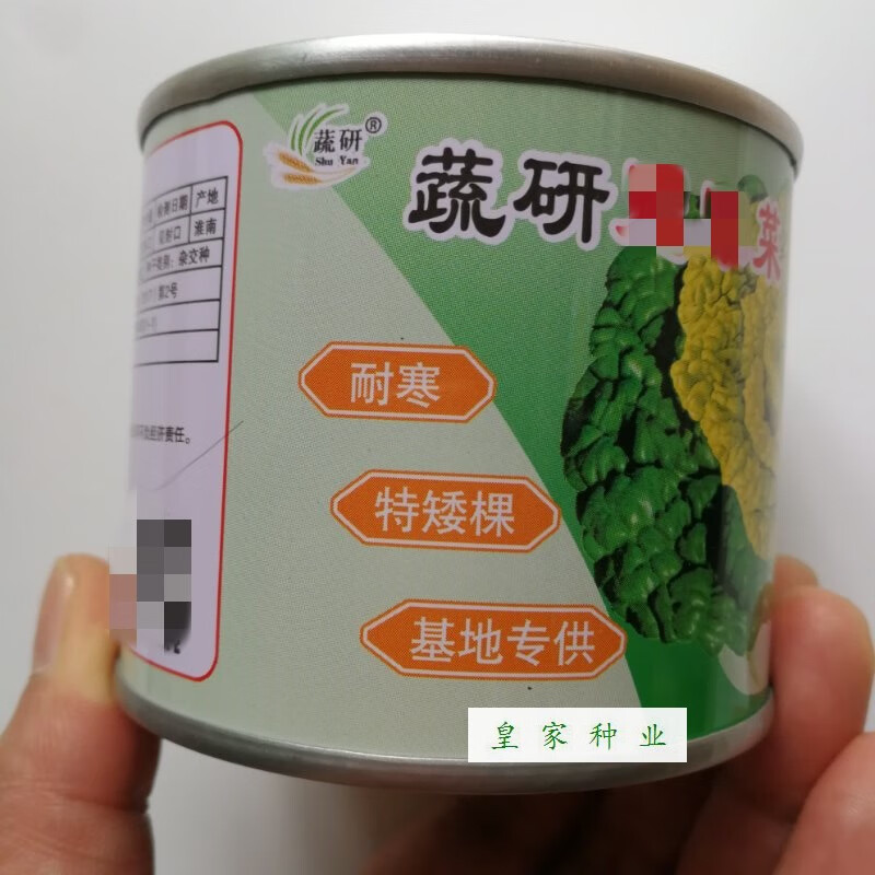 德骊嘉小八叶塌菜黑心乌乌塌菜种子老上海品种墨绿色绿领乌塌菜种籽小
