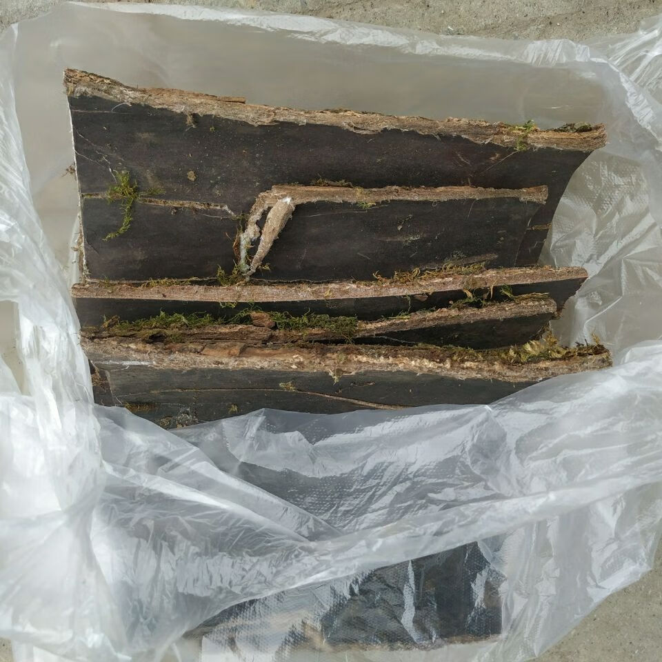 有仁堂贵州省杜仲皮500g中草药材压板皮丝楝树丝棉树皮胶树 500g