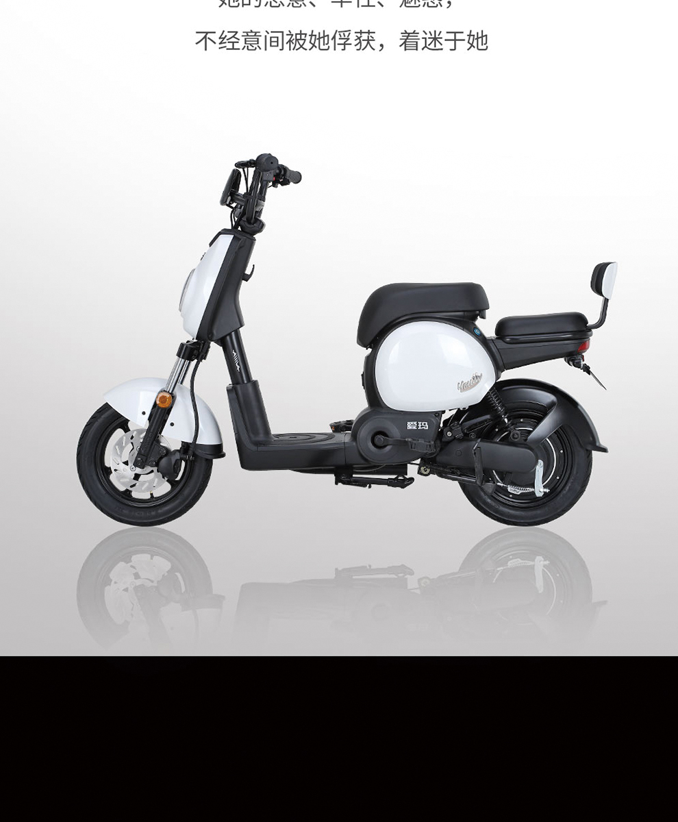 爱玛电动车线下门店同款爱度li电动自行车48v20锂电大容量长续航城市