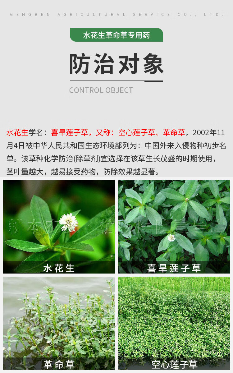 专杀水花生克星烂根连根除革命草空心喜旱莲子草专用除草剂配方药80g