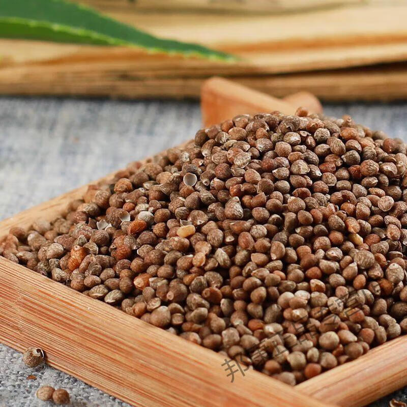 北京同仁堂原料同仁堂紫苏子500-5g克中药材无硫紫苏籽生苏子杜苏子可