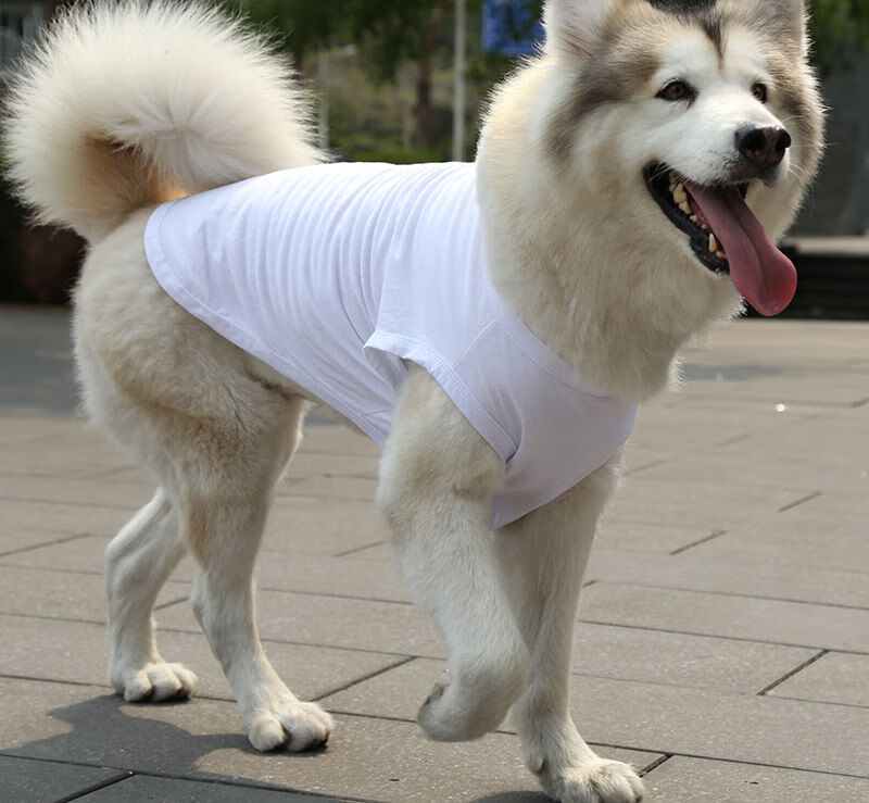 狗貓咪衣服小中大犬寵物用品棉質背心泰迪法鬥背心灰藍色5xl胸圍80背