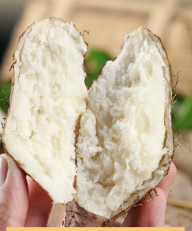 茂名毛薯5斤现挖新鲜脚板薯山药农家自种白心甜薯火苕香广东田薯 2斤