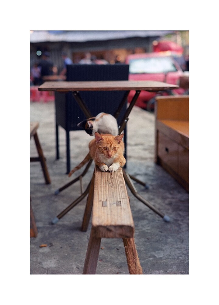 伊俪思都 5207胶卷 诺兰nolan 5207 250d 135彩色胶卷电影卷负片ecn2