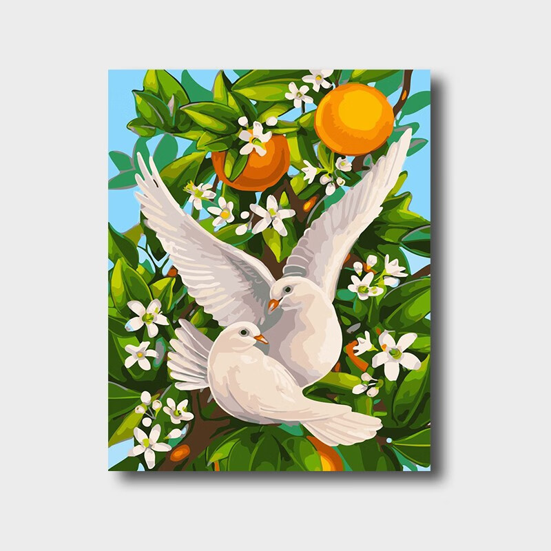 史历克 数字油画diy卡通简约和平鸽手工填色油画减压入门涂色画 fz