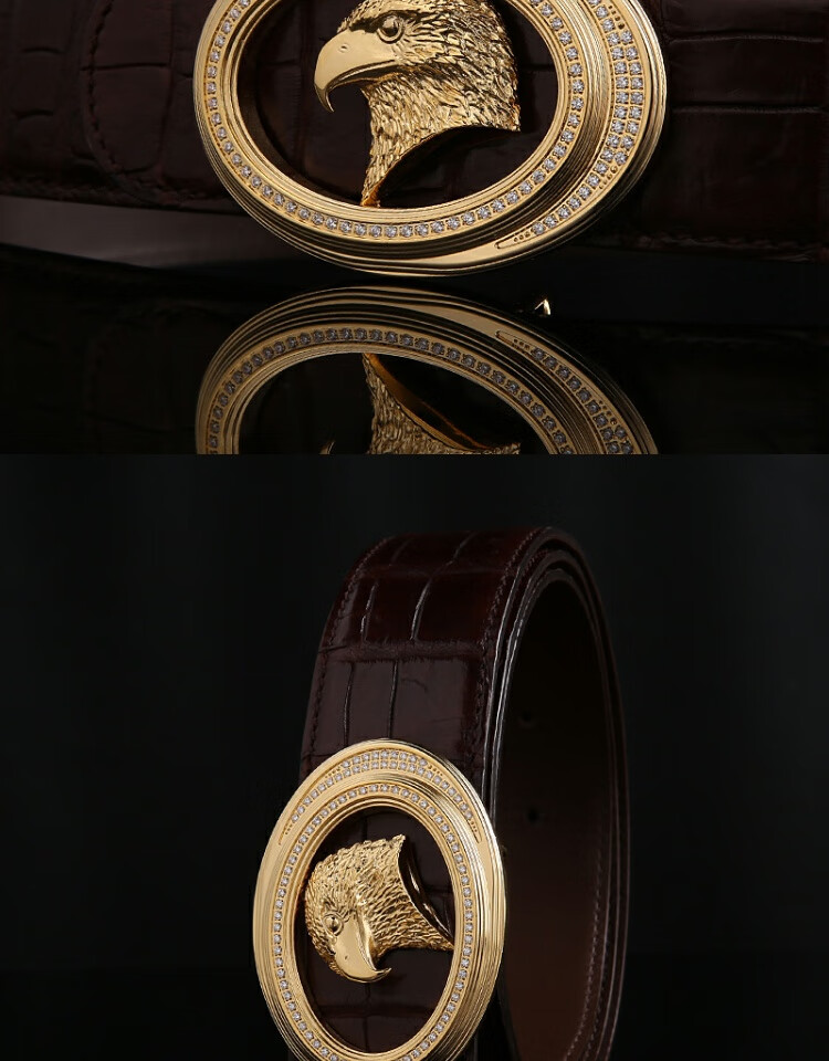 helens史蒂芬鹰头皮带男士腰带真鳄鱼皮商务休闲皮带 带钻金扣 啡色真