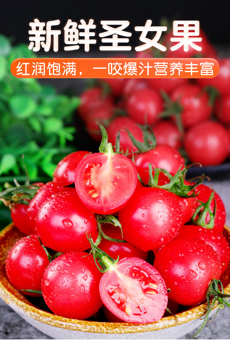 山东千禧圣女果多汁甜小玲珑小西红柿新鲜番茄2斤水果 玲珑圣女果