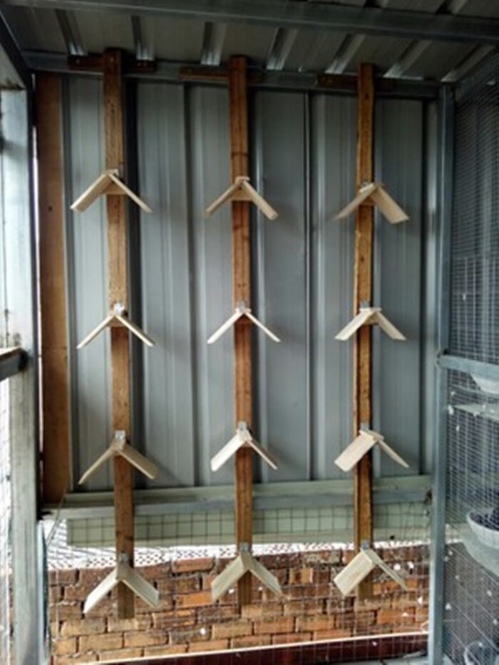 鸽子站架鸽子用品用具信鸽鸽子实木栖架塑料栖架息架鸽子窝站台 新款